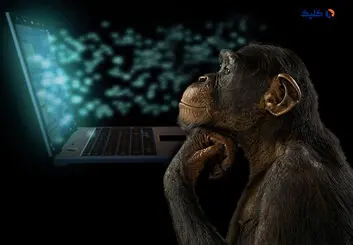 پیوند شگفت‌انگیز مغز میمون با کامپیوتر در چین