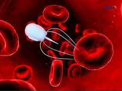 ریزربات جدید حامل دارو که می‌تواند درمان سرطان را متحول کند