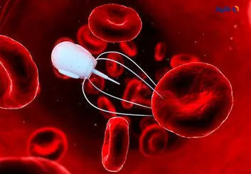 ریزربات جدید حامل دارو که می‌تواند درمان سرطان را متحول کند