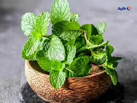 نعناع به بهبود بیماری آلزایمر کمک می کند