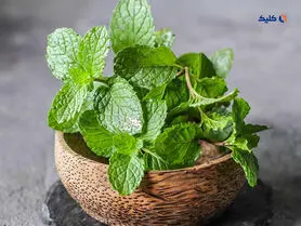 نعناع به بهبود بیماری آلزایمر کمک می کند