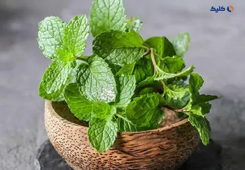نعناع به بهبود بیماری آلزایمر کمک می کند