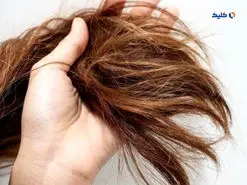 با آزمایش مو می‌توان ریسک بروز بیماری‌های قلبی‌عروقی را مشخص کرد