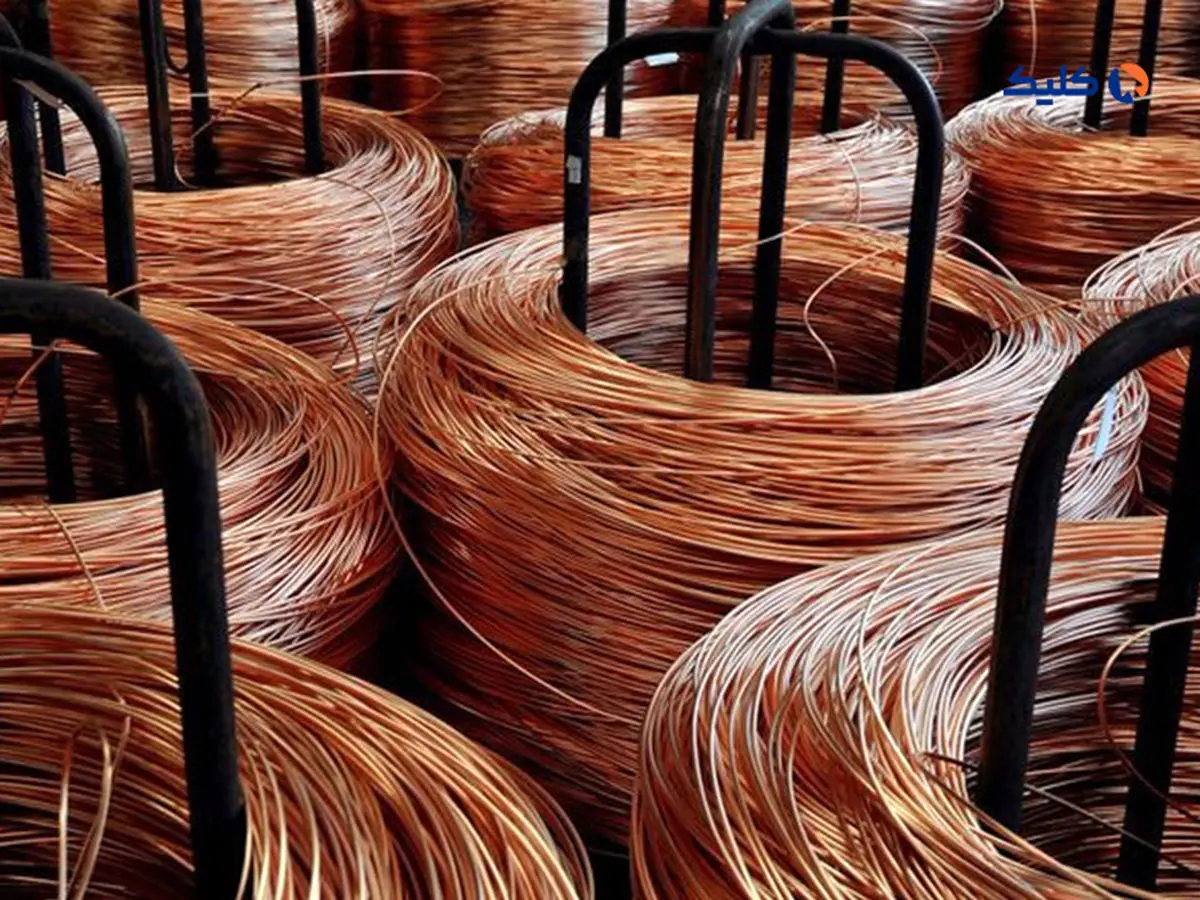 رقابت 11 درصدی فملی در بورس کالا