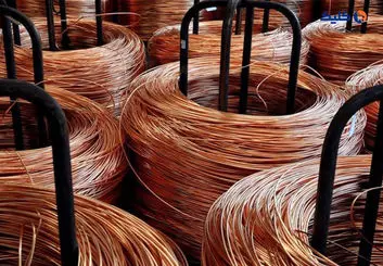 رقابت 11 درصدی فملی در بورس کالا