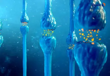 اسکیزوفرنی ممکن است با کمبود ویتامین D مادر در بارداری ارتباط داشته باشد