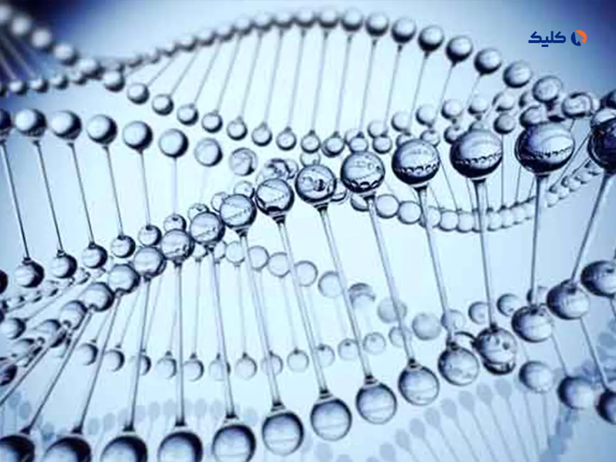 ژن های اوتیسم بیشتر از پدر منتقل می شود