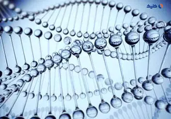 ژن های اوتیسم بیشتر از پدر منتقل می شود