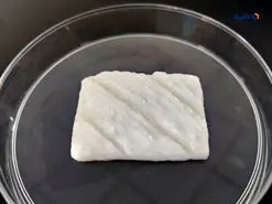 چینی‌ها ماهی آزمایشگاهی ساختند!