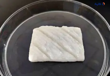 چینی‌ها ماهی آزمایشگاهی ساختند!