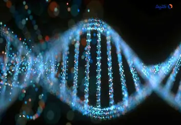 دی‌ان‌ای تصمیم‌گیری کشف شد