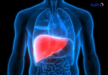 تاثیر سلول درمانی بر بیماری های کبدی