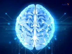 مغز تصمیم می گیرد چه اطلاعاتی را فراموش کند