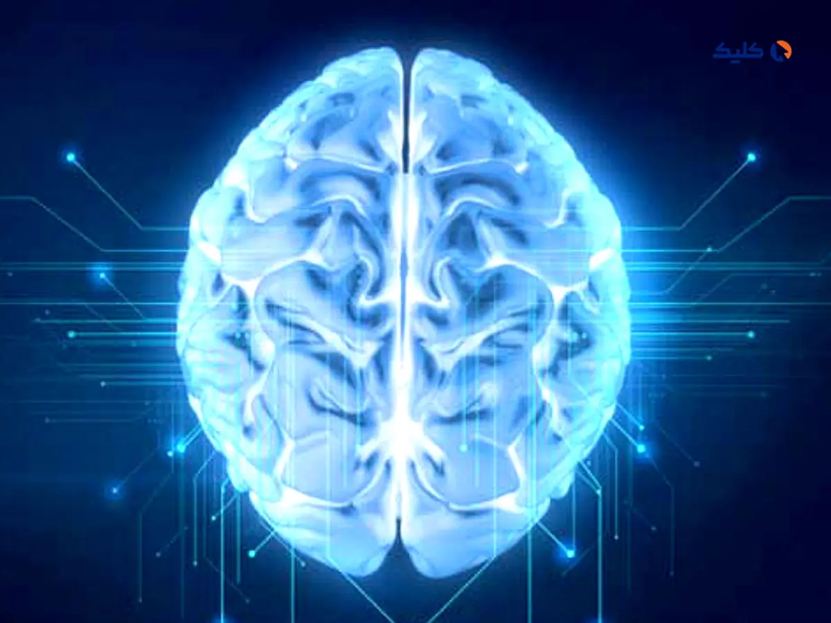 مغز تصمیم می گیرد چه اطلاعاتی را فراموش کند