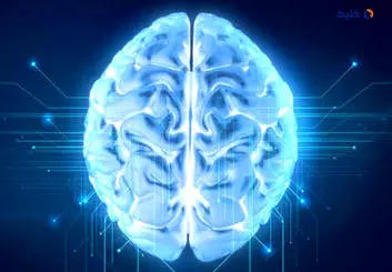 مغز تصمیم می گیرد چه اطلاعاتی را فراموش کند