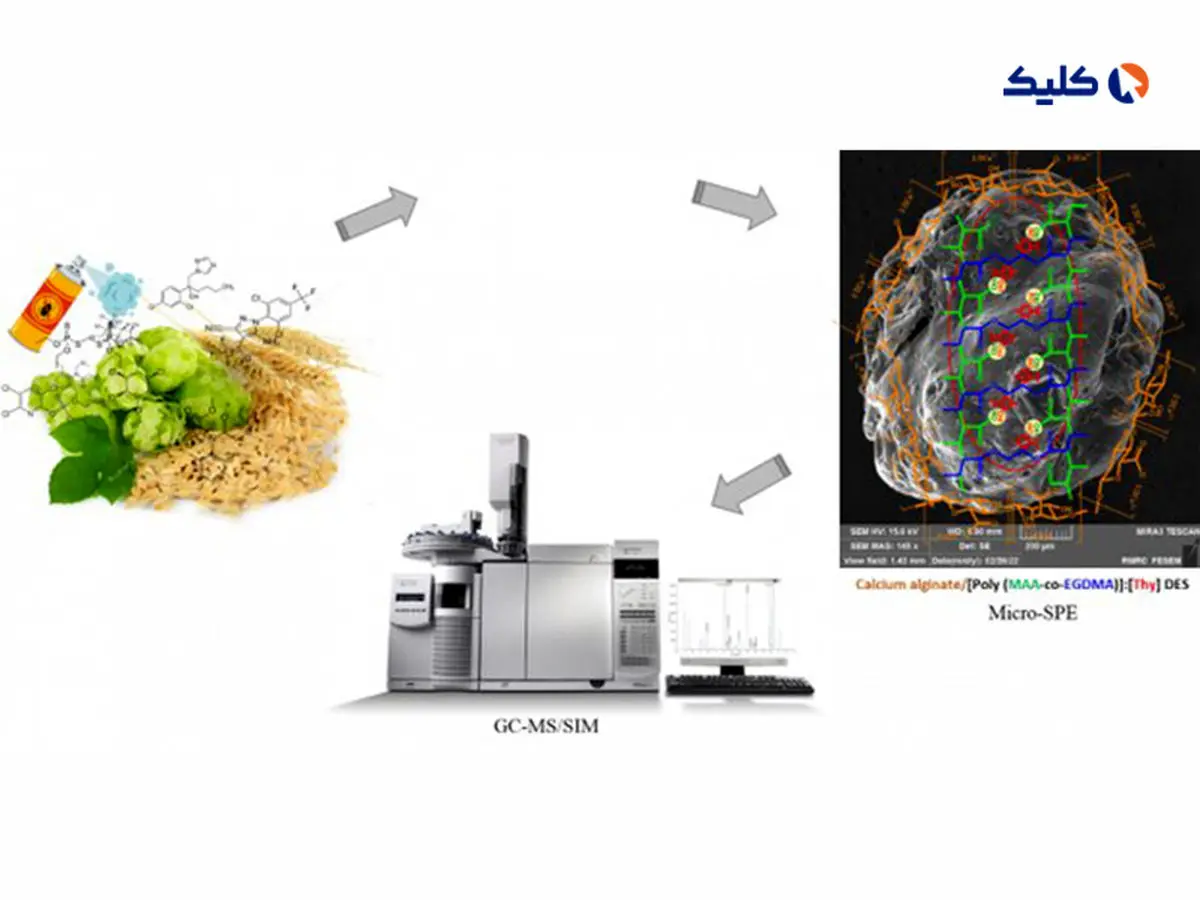 روش جدیدی برای آزمایش سلامت نوشیدنی‌های مالت غیرالکلی