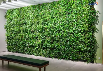 فناوری دیوار سبز چیست؟