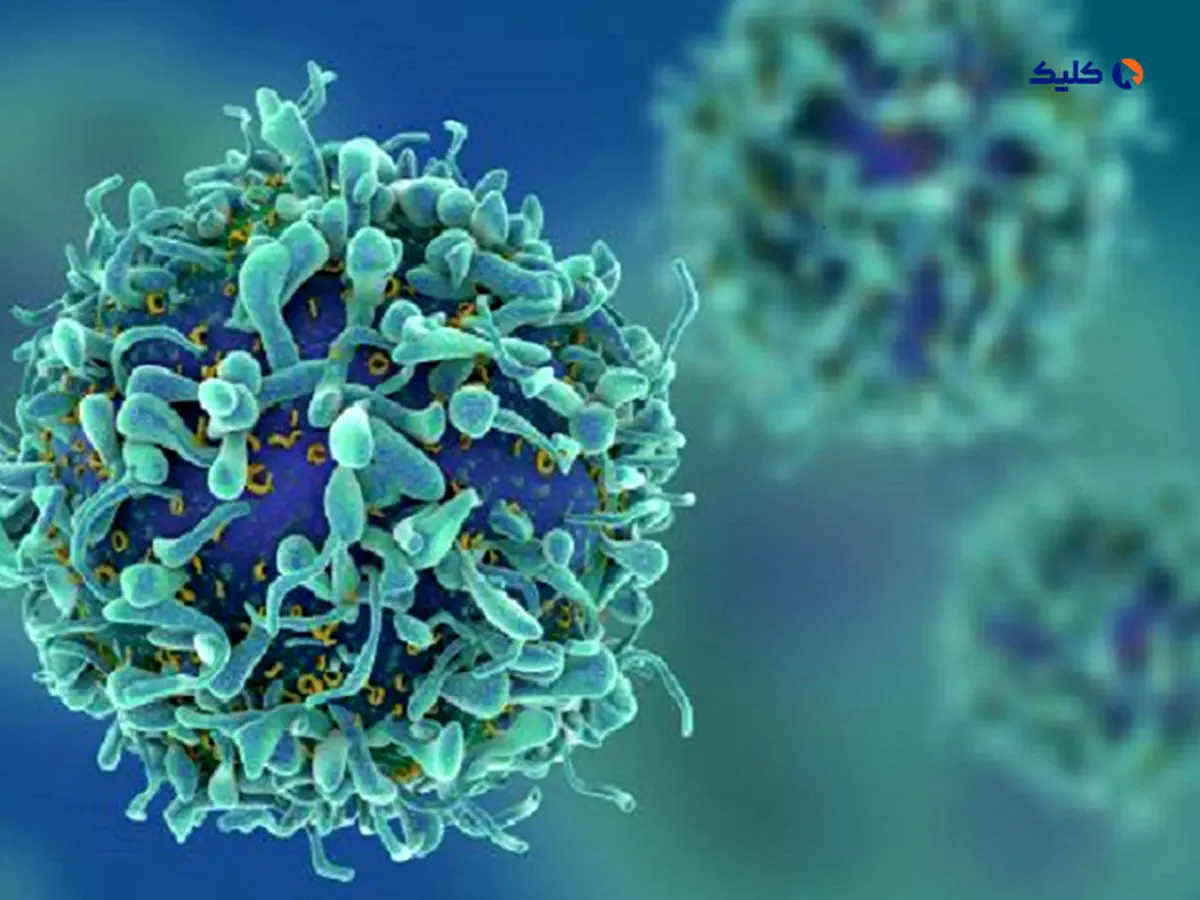 زیست‌حسگر تشخیص سرطان پروستات طراحی و ساخته شد