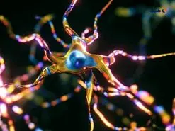 دانشمندان یک گونه ژنتیکی مرتبط با افزایش شدت بیماری ام‌اس را کشف کردند