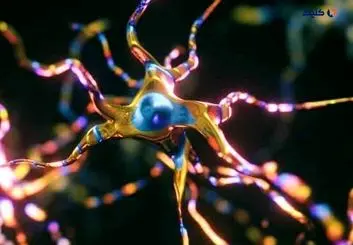 دانشمندان یک گونه ژنتیکی مرتبط با افزایش شدت بیماری ام‌اس را کشف کردند