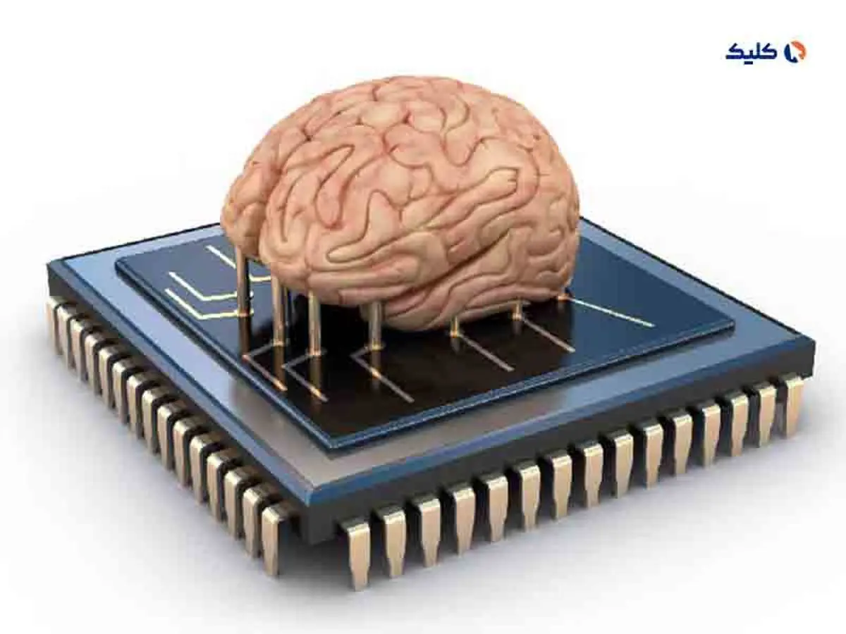 چگونه بارگذاری ذهن انسان در کامپیوتر امکان‌پذیر می‌شود