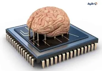 چگونه بارگذاری ذهن انسان در کامپیوتر امکان‌پذیر می‌شود