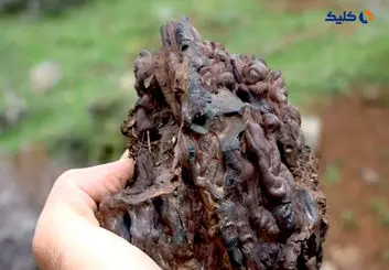 کشف «دنیایی گمشده» متعلق به یک میلیارد سال قبل