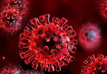سویه جدید و جهش‌یافته کرونا زیر ذره‌بین سازمان بهداشت جهانی و CDC آمریکا