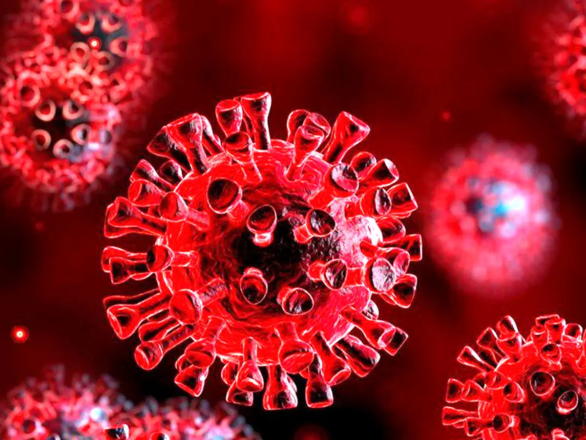 سویه جدید و جهش‌یافته کرونا زیر ذره‌بین سازمان بهداشت جهانی و CDC آمریکا