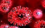 سویه جدید و جهش‌یافته کرونا زیر ذره‌بین سازمان بهداشت جهانی و CDC آمریکا