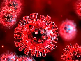 سویه جدید و جهش‌یافته کرونا زیر ذره‌بین سازمان بهداشت جهانی و CDC آمریکا