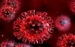 سویه جدید و جهش‌یافته کرونا زیر ذره‌بین سازمان بهداشت جهانی و CDC آمریکا