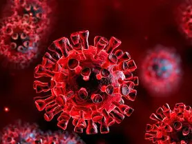 سویه جدید و جهش‌یافته کرونا زیر ذره‌بین سازمان بهداشت جهانی و CDC آمریکا