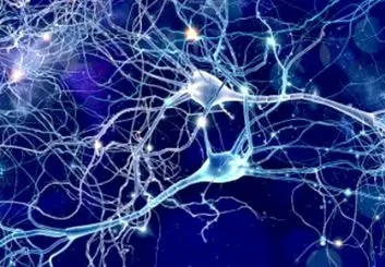 پوشش نانویی جایگزین تفلون می‌شود