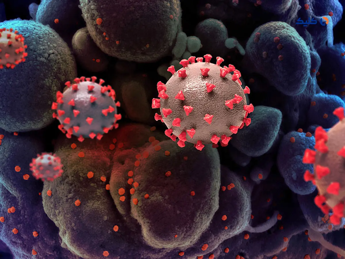 علائم سویه جدید کرونا