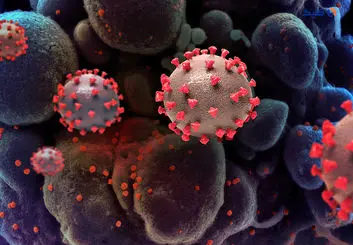 علائم سویه جدید کرونا