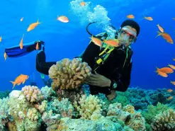 کیش و جاذبه های زیر آب آن