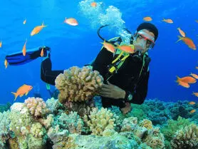کیش و جاذبه های زیر آب آن