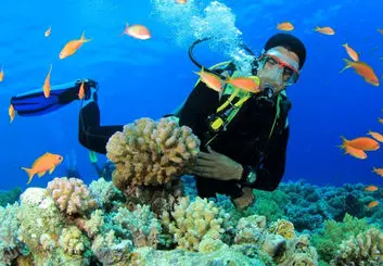 کیش و جاذبه های زیر آب آن