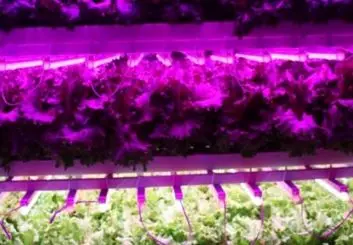 دانشگاه تهران در جمع ۳ مرکز دانشگاهی برتر دنیا در تولید علم حوزه کشاورزی محیط‌های کنترل‌شده