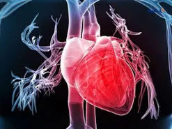 نانودارویی که بافت قلب را بازسازی می‌کند