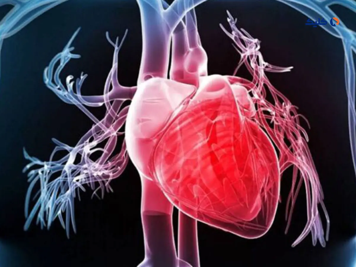 نانودارویی که بافت قلب را بازسازی می‌کند