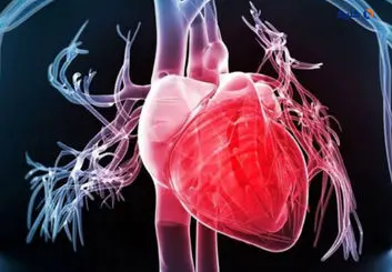 نانودارویی که بافت قلب را بازسازی می‌کند