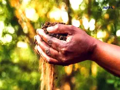 کمک هوش مصنوعی به کشاورزان آفریقایی برای مقابله با تغییرات اقلیمی