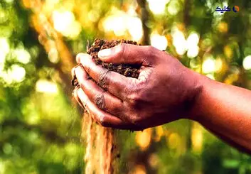 کمک هوش مصنوعی به کشاورزان آفریقایی برای مقابله با تغییرات اقلیمی