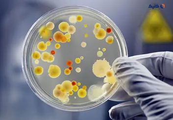 آمریکا میکروب جاسوس می‌سازد!