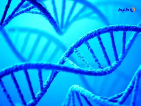 دستاورد بزرگ دانشمندان: امکان کنترل DNA انسان با الکتریسیته به کمک فناوری جدید