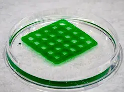 تصفیه آب با موجودات زنده!