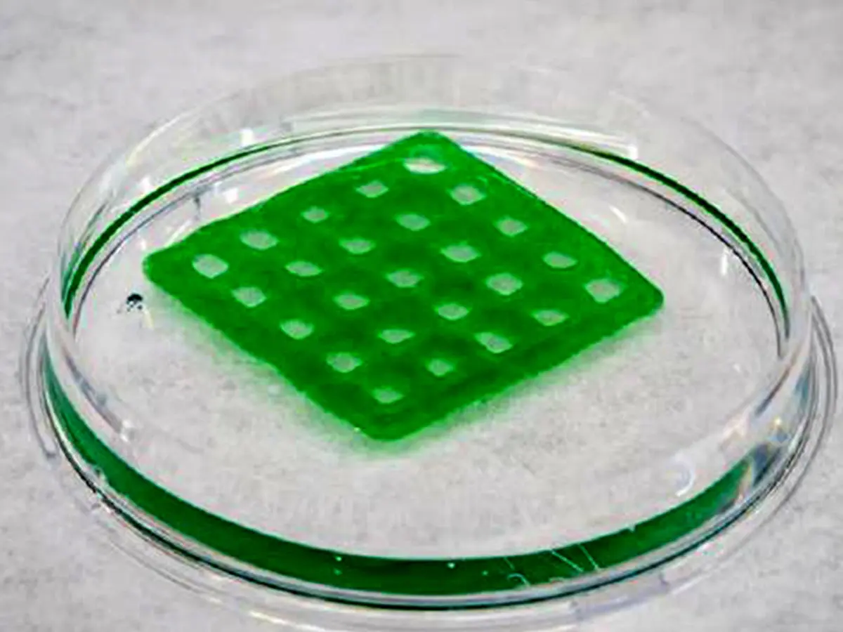 تصفیه آب با موجودات زنده!