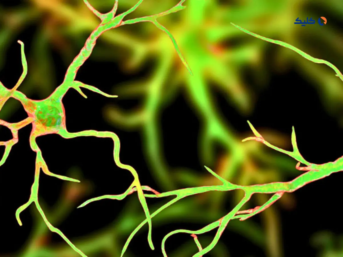 دارویی که بدون تاثیر بر اشتها موجب کاهش وزن می شود